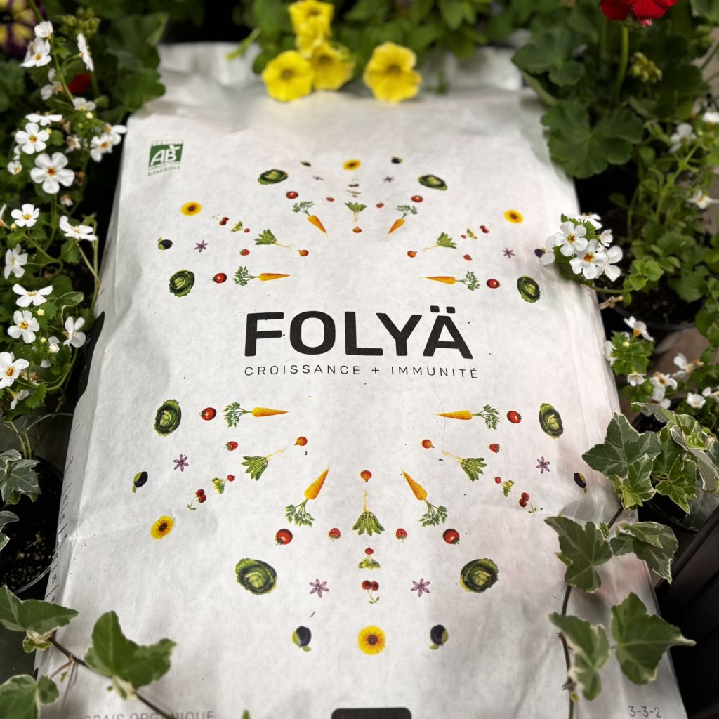 Folya 22L